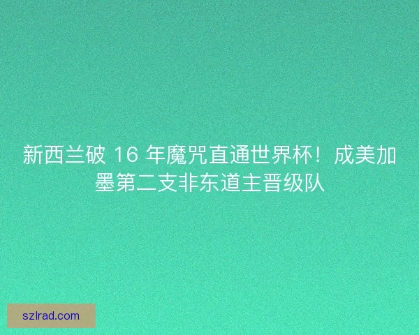 新西兰破 16 年魔咒直通世界杯！成美加墨第二支非东道主晋级队
