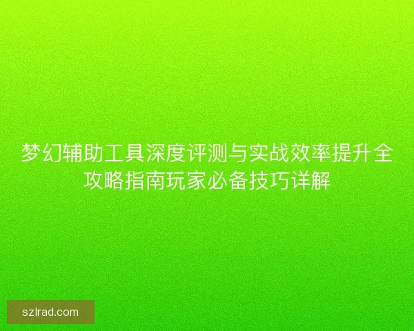 梦幻辅助工具深度评测与实战效率提升全攻略指南玩家必备技巧详解
